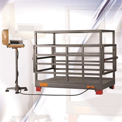 باسکول دامکش بی نظیر 1 تن MB 1000D SB 51